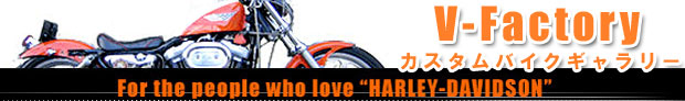 カスタム バイク ハーレー ハーレーダビットソンのページ top img